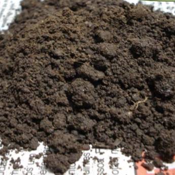 Comprar o produto de Húmus de Minhoca em A Classificar em Assis, SP por Solutudo