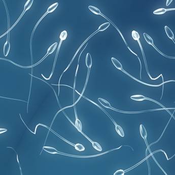 Comprar o produto de LÍQUIDO SEMINAL em Exames  em Jundiaí, SP por Solutudo