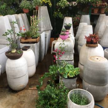 Comprar o produto de Vasos de Cimento em Vasos para Plantas em Itapetininga, SP por Solutudo