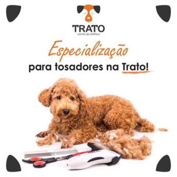Comprar o produto de Especialização para Tosadores em Outros em Bauru, SP por Solutudo