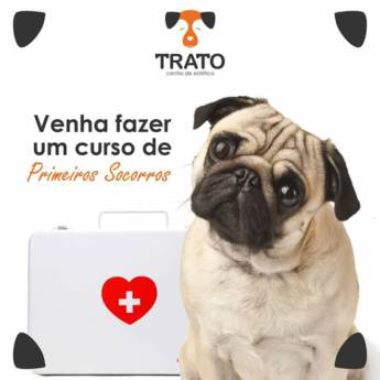 Comprar o produto de Curso de Primeiros Socorros em Outros Serviços em Bauru, SP por Solutudo