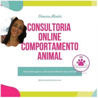 Comprar o produto de Consultoria Online Comportamento Animal em Adestramento em Itapetininga, SP por Solutudo