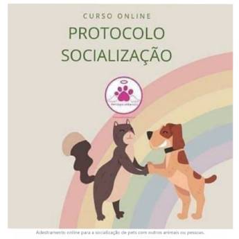 Comprar o produto de Adestramento Online para Socialização de Pets com Outros Animais ou Pessoas em Adestramento em Itapetininga, SP por Solutudo