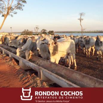 Comprar o produto de Cocho P Confinamento e semi Modelo U em Animais em Araçatuba, SP por Solutudo