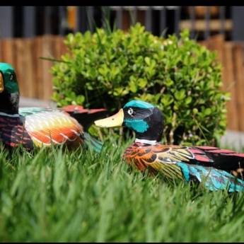 Comprar o produto de Pato em Madeira - P em Decoração - Objeto para Decoração em Americana, SP por Solutudo