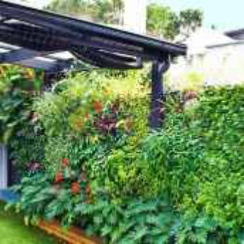 Comprar o produto de Jardim  Vertical em Bauru em Jardinagem em Bauru, SP por Solutudo