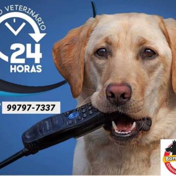 Comprar o produto de Clínica Veterinária Bom Pastor  em Animais em Marília, SP por Solutudo