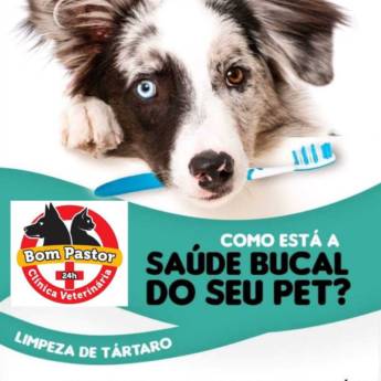 Comprar o produto de Clínica Veterinária Bom Pastor  em Animais em Marília, SP por Solutudo