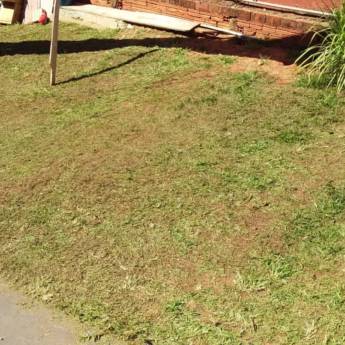 Comprar o produto de Limpeza de Terreno em Manutenção em Bauru, SP por Solutudo