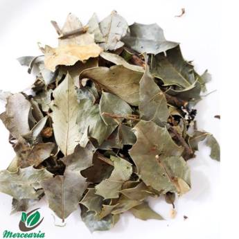 Comprar o produto de Espinheira Santa Folhas em Alimentos pela empresa Mercearia Alimentos Naturais em Mineiros, GO por Solutudo