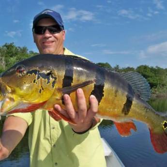 Comprar o produto de PESCARIA ESPORTIVA NO AMAZONAS TEMPORADA 2020 / 2021 em Viagens e Turismo em Jundiaí, SP por Solutudo