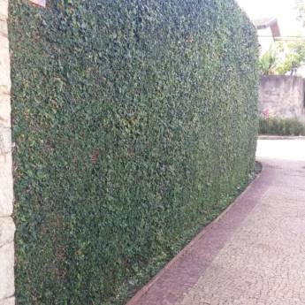 Comprar o produto de Poda em Urbanismo em Bauru, SP por Solutudo