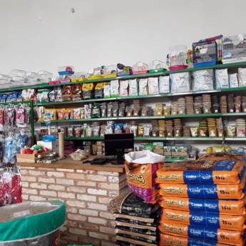 Comprar o produto de Produtos para pet em geral em Pet Shop em Birigui, SP por Solutudo