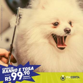 Comprar o produto de Curso de banho e tosa em Cursos em Birigui, SP por Solutudo