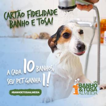 Comprar o produto de Banho e Tosa em Pet Shop em Bauru, SP por Solutudo