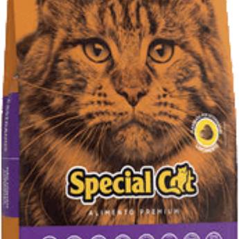 Comprar o produto de Ração Special Cat em Ração para Gatos em Foz do Iguaçu, PR por Solutudo