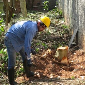 Comprar o produto de PAISAGISMO em Outros Serviços em Botucatu, SP por Solutudo