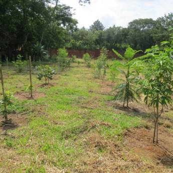 Comprar o produto de LAUDOS TÉCNICOS/PROJETOS DE RECUPERAÇÃO/DESEMBARGO DE ÁREAS  em Outros Serviços em Botucatu, SP por Solutudo