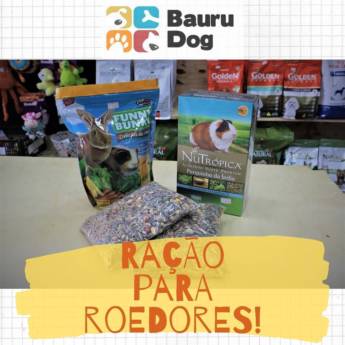 Comprar o produto de Ração para Roedores em Roedores em Bauru, SP por Solutudo