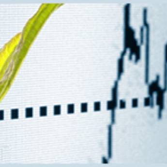 Comprar o produto de Gestão do Agronegócio em Faculdades e Universidades em Botucatu, SP por Solutudo