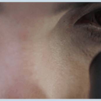 Comprar o produto de Ciências Biológicas em Faculdades e Universidades em Botucatu, SP por Solutudo