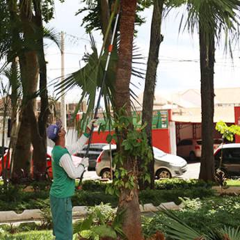 Comprar o produto de Coleta mecanizada de galhos de árvores e entulhos da construção civil em Outros Serviços em Botucatu, SP por Solutudo