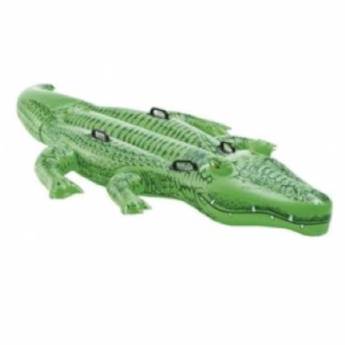 Comprar o produto de Bote Jacaré em Acessórios em São João da Boa Vista, SP por Solutudo