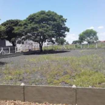 Comprar o produto de Aplicação de inseticidas em terrenos em Outros em Araçatuba, SP por Solutudo