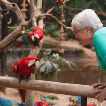 Comprar o produto de Parque das Aves em Viagens e Turismo em Foz do Iguaçu, PR por Solutudo