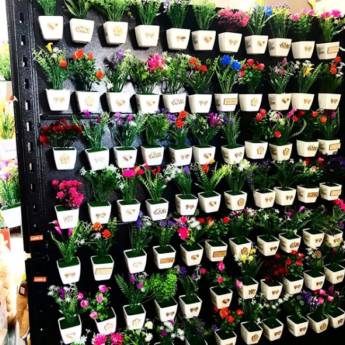 Comprar o produto de Imãs de geladeiras em formato de flores em Alimentos e Bebidas em Aracaju, SE por Solutudo