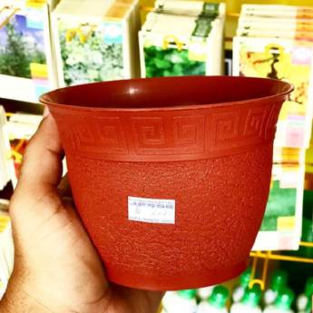 Comprar o produto de Vasos para Plantas em Alimentos e Bebidas em Aracaju, SE por Solutudo