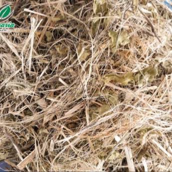 Comprar o produto de Vassourinha em Alimentação Saudável pela empresa Mercearia Alimentos Naturais em Mineiros, GO por Solutudo