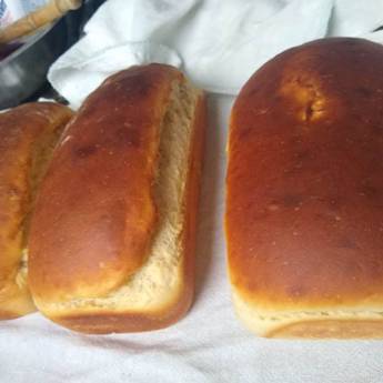 Comprar o produto de Pães!!! em Pães em Jaú, SP por Solutudo