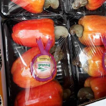 Comprar o produto de Caju em Alimentação Saudável em Praia Grande, SP por Solutudo