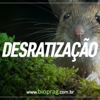 Comprar o produto de Desratização em Outros Serviços em Piracicaba, SP por Solutudo