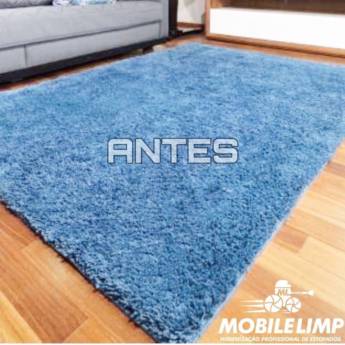 Comprar o produto de Limpeza e Higienização de Tapetes em Manutenção em Marília, SP por Solutudo