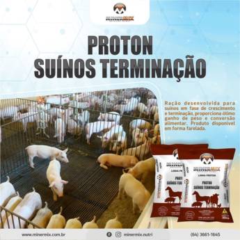 Comprar o produto de Proton Suínos Terminação  em Agro, Indústria e Comércio em Mineiros, GO por Solutudo
