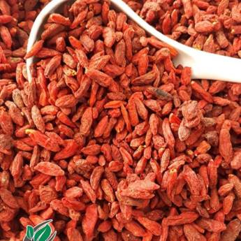 Comprar o produto de Goji Berry em Alimentação Saudável pela empresa Mercearia Alimentos Naturais em Mineiros, GO por Solutudo