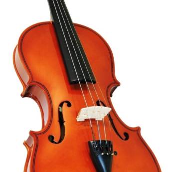 Comprar o produto de Aulas de violino em Escolas de Música em Bauru, SP por Solutudo