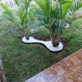 Comprar o produto de Plantio de Grama em Jardinagem em Rio Claro, SP por Solutudo