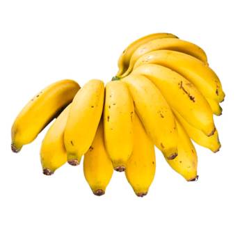 Comprar o produto de Banana Maçã | Kg em Alimentação Saudável em Bauru, SP por Solutudo