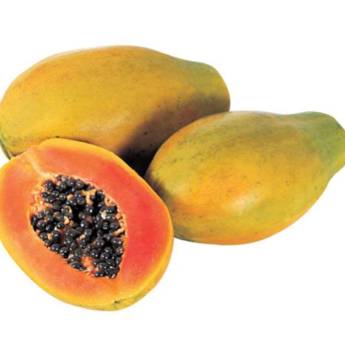 Comprar o produto de Mamão Papaia | Unidade em Alimentação Saudável em Bauru, SP por Solutudo