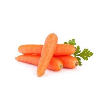 Comprar o produto de Cenoura | Kg em Alimentação Saudável em Bauru, SP por Solutudo