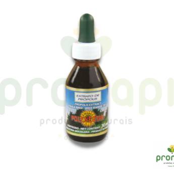 Comprar o produto de Extrato de Própolis Verde 20% Polenectar 30 ml em Vitaminas pela empresa Pronapi Produtos Naturais em Foz do Iguaçu, PR por Solutudo