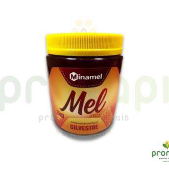 Comprar o produto de Mel Silvestre Pote Minamel 1kg  em Alimentação Saudável em Foz do Iguaçu, PR por Solutudo
