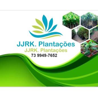 Comprar o produto de Plantas Ornamentais em Indústria Agropecuária em Taperoá, BA por Solutudo