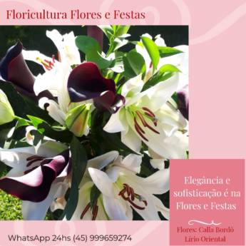 Comprar o produto de Buquê de Flores Calla Bordô Lírio Oriental em Buquês em Foz do Iguaçu, PR por Solutudo