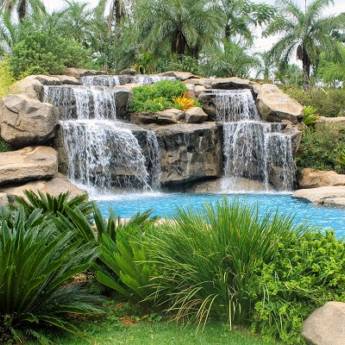 Comprar o produto de AQUÁTICOS em Paisagismo em Niterói, RJ por Solutudo