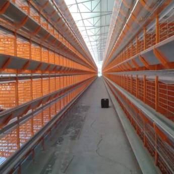 Comprar o produto de Serviço Concluído - Granjas Irmãos Corteletti em Outros em Santa Maria de Jetibá, ES por Solutudo