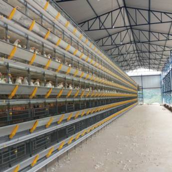 Comprar o produto de Aviario Killbra - Entregue já com alojamento das aves em Animais em Santa Maria de Jetibá, ES por Solutudo